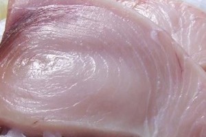 Swordfish Loins